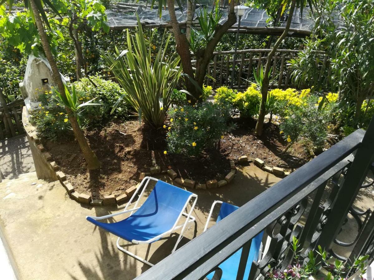 Apartament Il Viale Massa Lubrense Zewnętrze zdjęcie